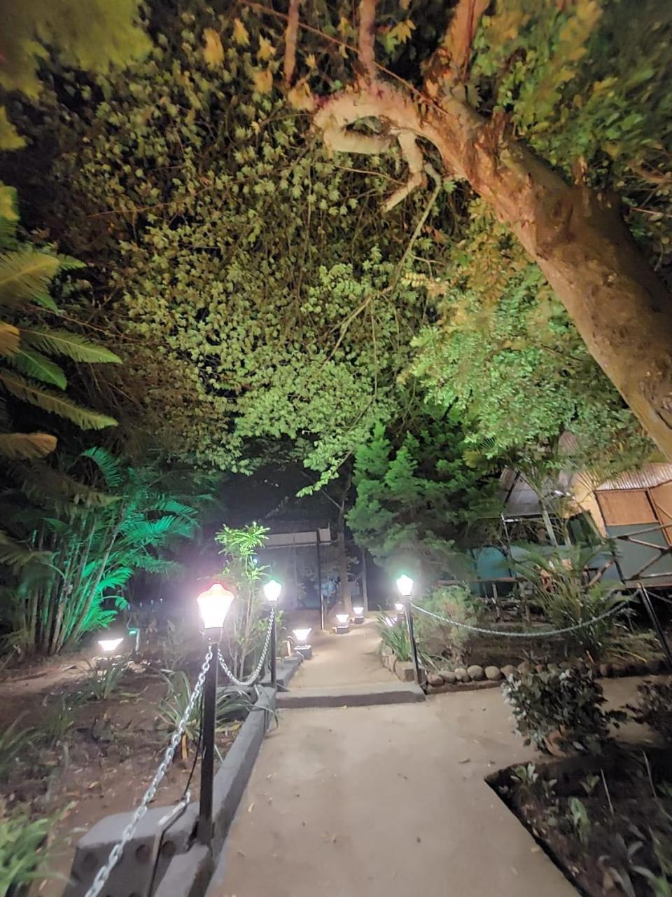 Green Hills Farm And Guest House มาสินากุดี ภายนอก รูปภาพ